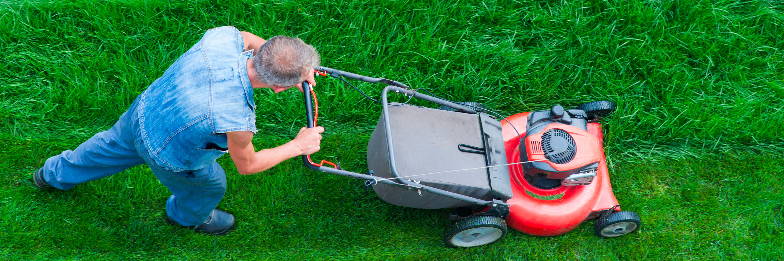 03212025-lawn-mower-blade-blog-hero.jpg 03212025-lawn-mower-blade-blog-hero.jpg