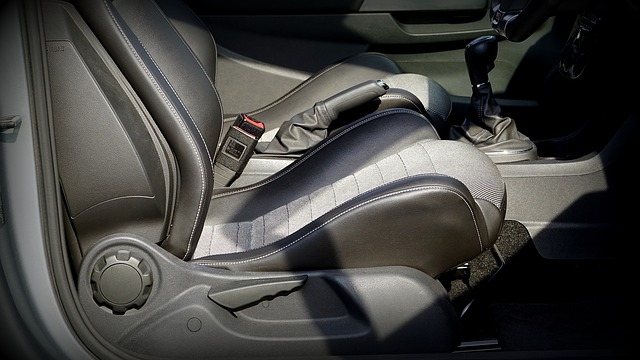 side view of vehicle seats