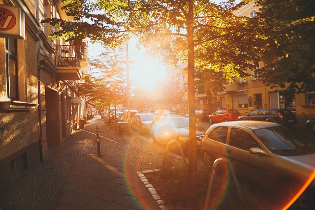 sunny tree-lined street with cobblestone sidewalk and cars along the street, scenic picture, city sunny tree-lined street with cobblestone sidewalk and cars along the street, scenic picture, city