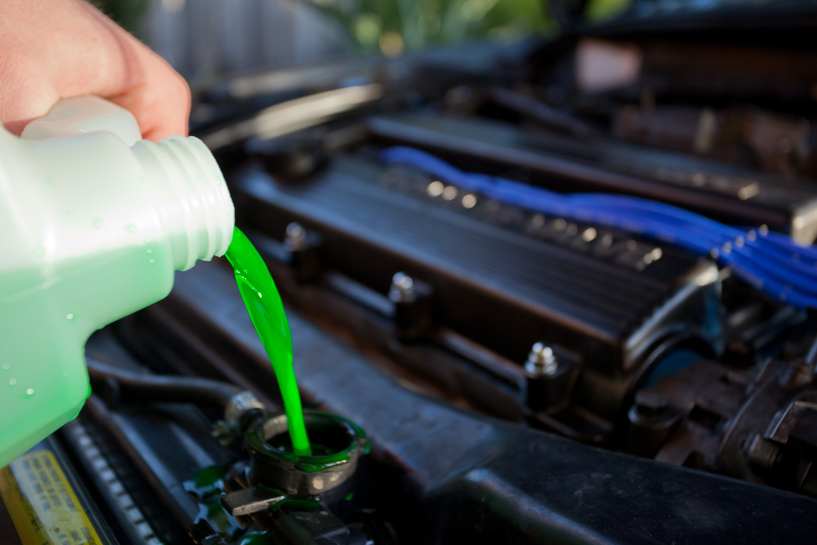 pouring antifreeze into radiator