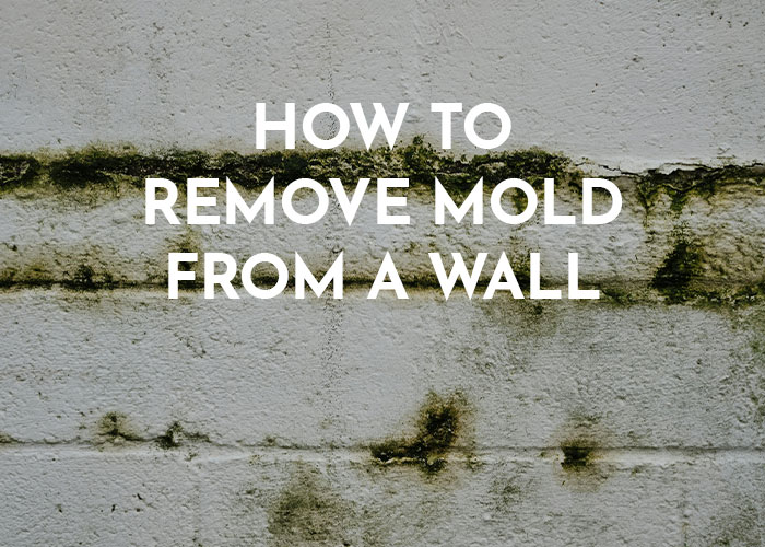 hoe schimmel van een muur te verwijderen